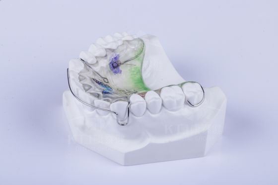 Custom Hawley Retainer untuk meluruskan gigi Dental Hawley Retainer FDA persetujuan
