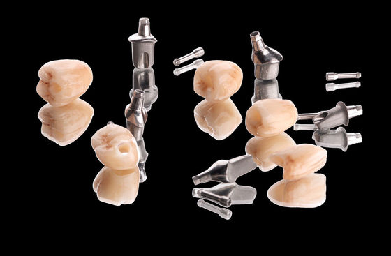 Beli Metal Implant Crown Bridge Natural Zirconia Full Contour Crown Dengan Titanium Abutment online manufacture
